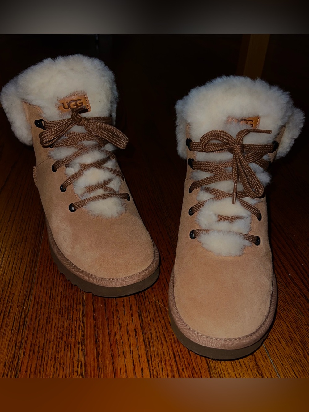 UGG Women's Classic Mini Alpine Lace in Chestnut